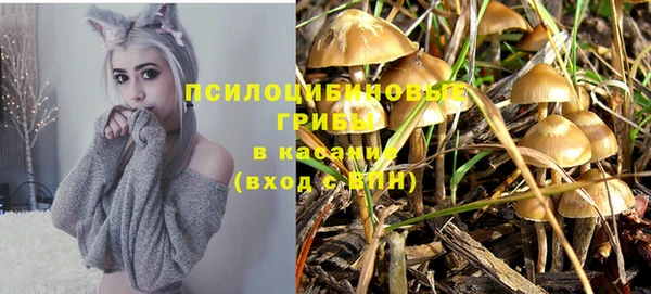 каннабис Новодвинск