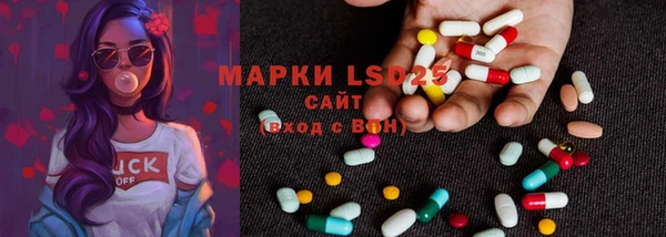 стафф Новозыбков