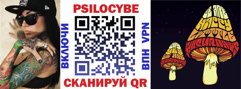 где купить   Терек  Псилоцибиновые грибы Magic Shrooms 