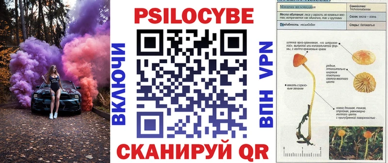 Псилоцибиновые грибы мухоморы Терек